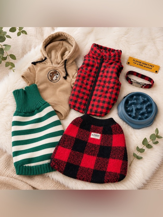 Other - Dog Apparel and Accessories Set